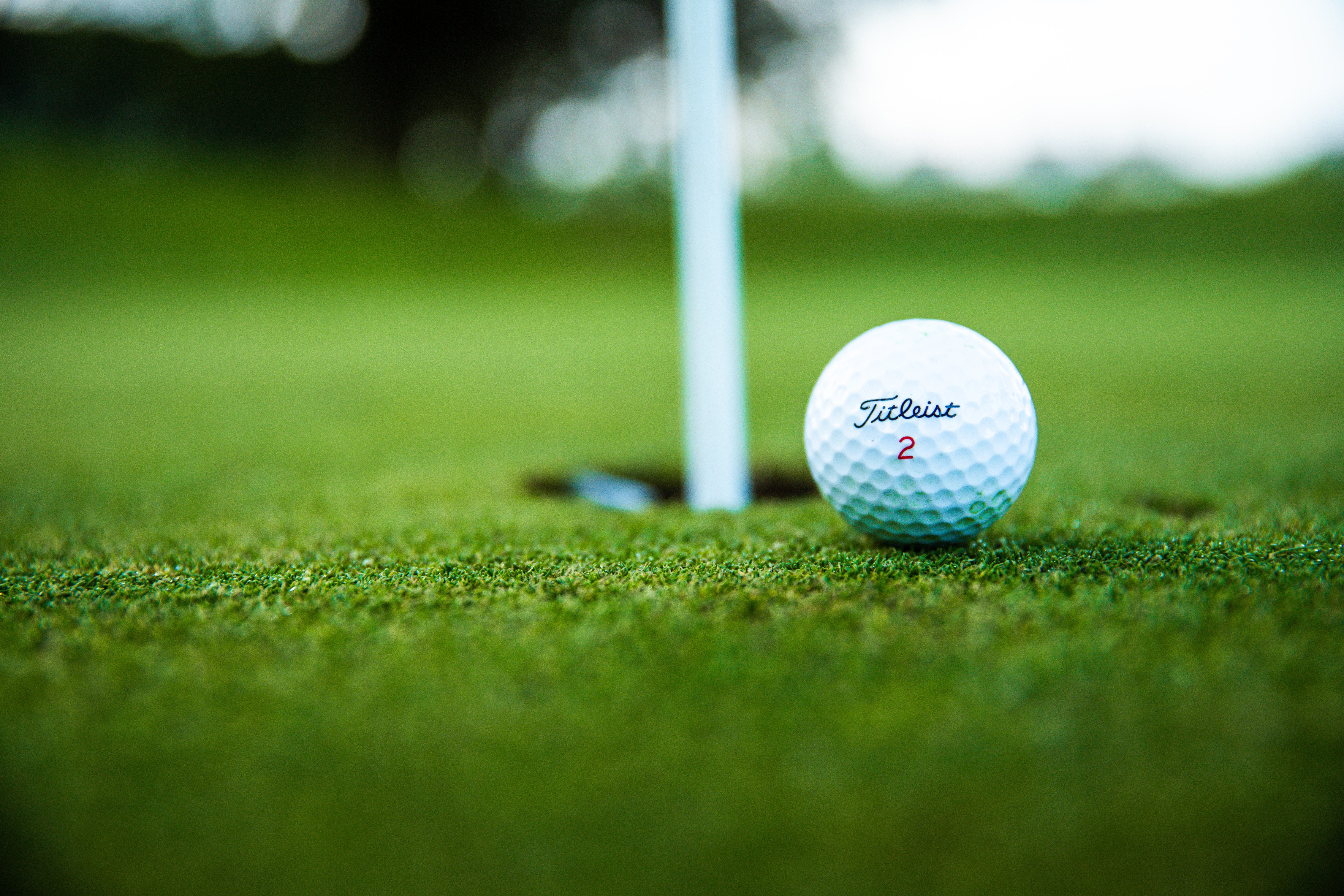 Substack profile picture for @golfing