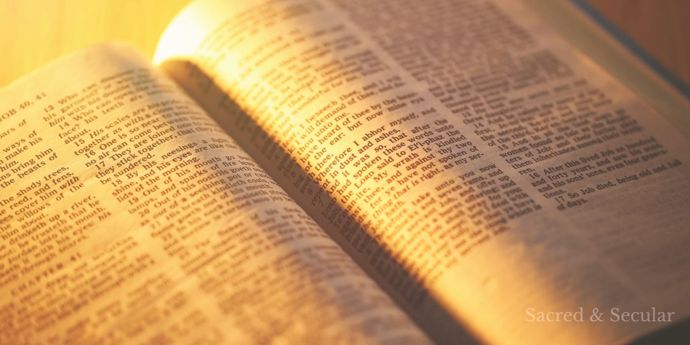 An open Bible resting on a table, illuminated by warm natural light.