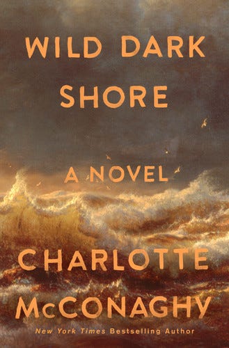 Wild Dark Shore by Charlotte McConaghy book cover