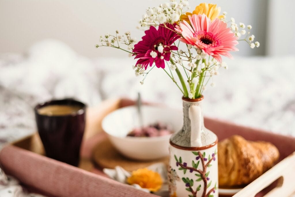 selective focus photography of pink petaled daisy flower in vase selective focus photography of pink petaled daisy flower in vase