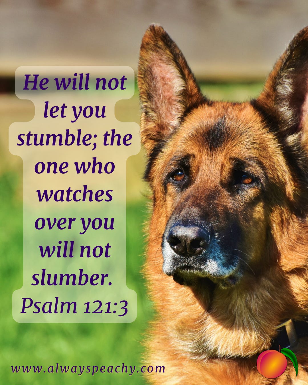 He will not let you stumble; the one who watches over you will not slumber. (Psalm 121:3)