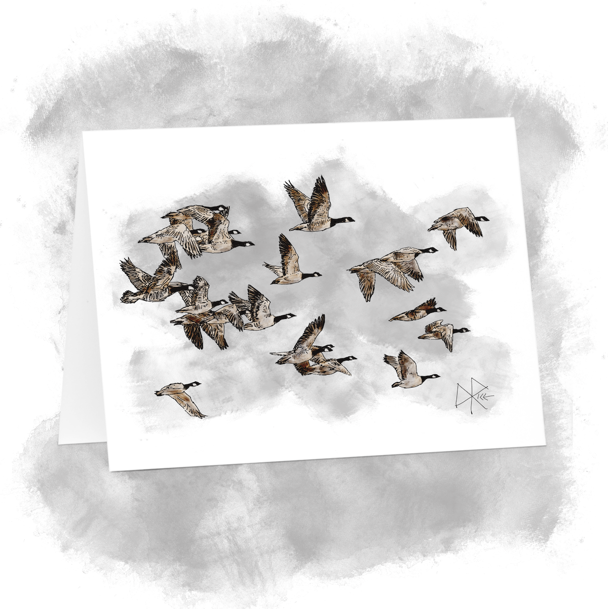 A flock of Canada Geese on the wing, headed north in their migratory return to their nesting grounds. They have broken from the distinctive V-shaped flight formation as they lower their path to come to temporary rest at a staging area, before continuing their journey north. Sketch art by Don Rice. A flock of Canada Geese on the wing, headed north in their migratory return to their nesting grounds. They have broken from the distinctive V-shaped flight formation as they lower their path to come to temporary rest at a staging area, before continuing their journey north. Sketch art by Don Rice.
