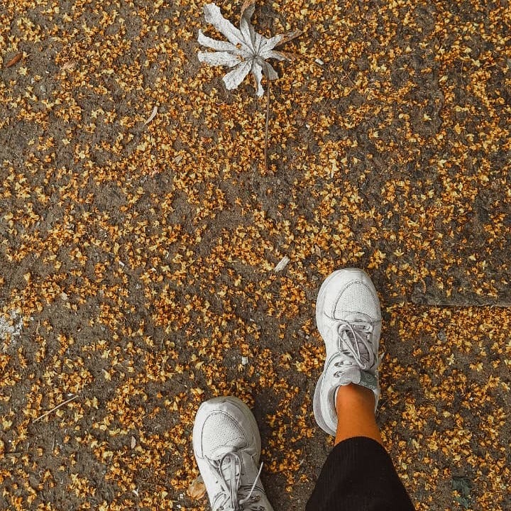 A vida que não me contaram