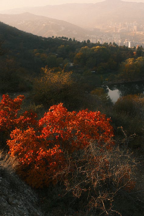 Are this pictures perfect if we do not compare of