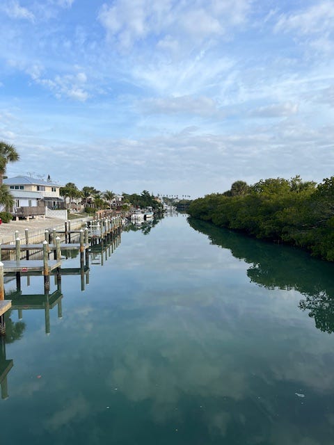 A waterway with many piers on the left and mangrove trees on the right and blue sky overhead