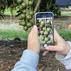 Aerobotics' AI Engineered Solutions