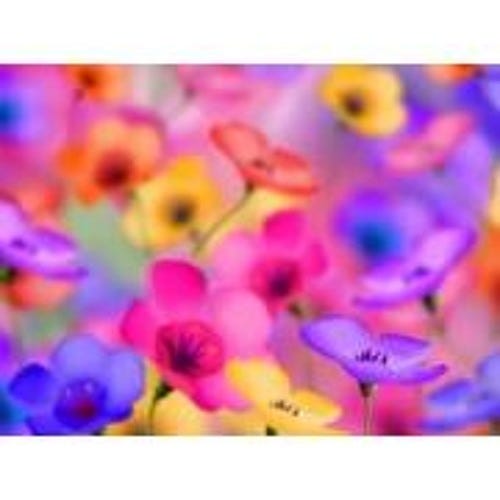 Geopolitics: It's not Rocket Science