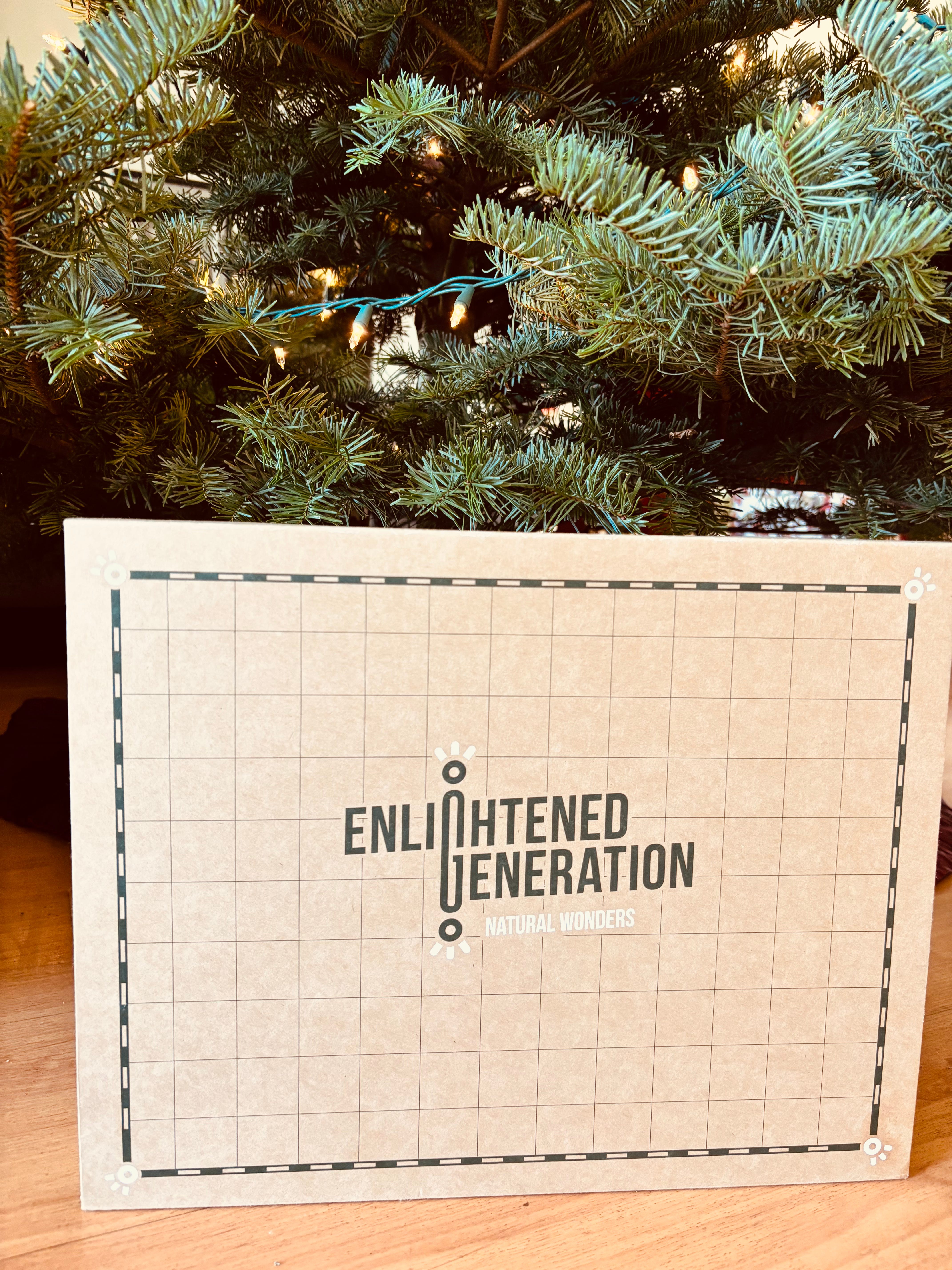 A Thoughtfully Curated Book Box Experience: Unboxing Enlightened