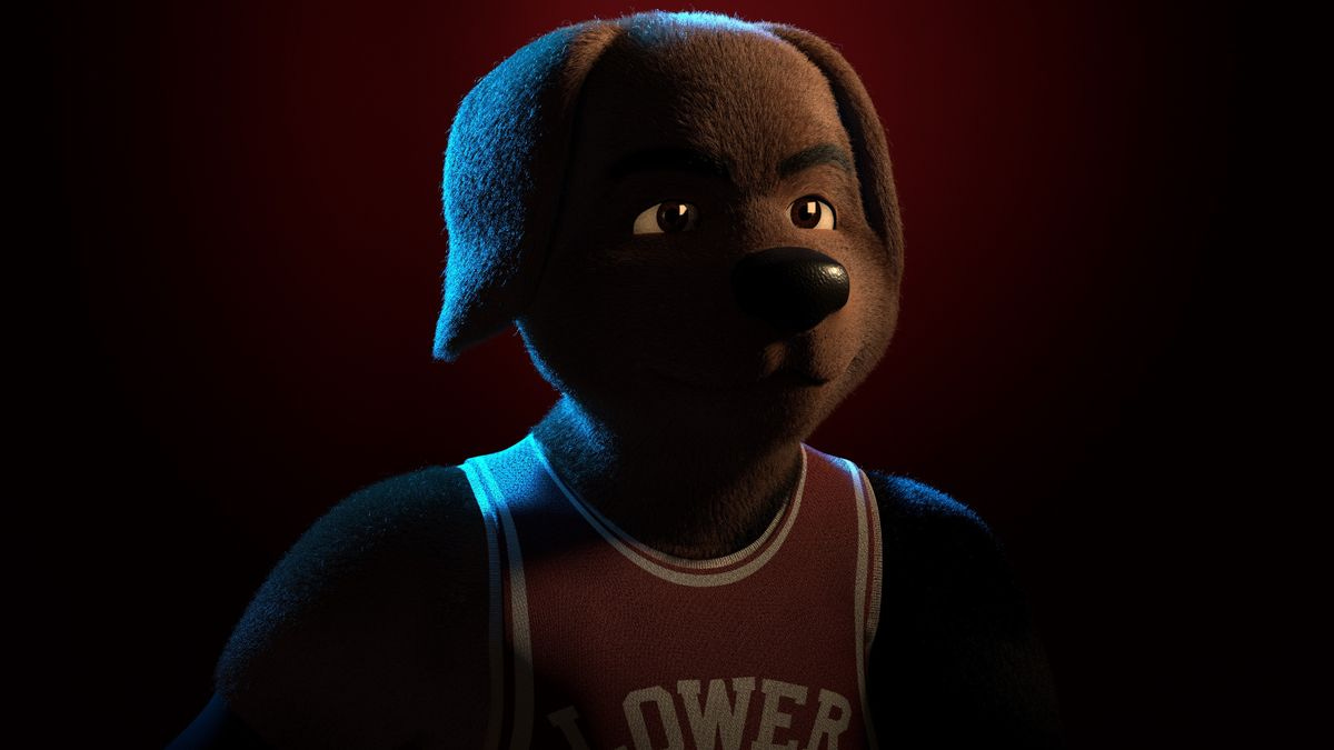 Basketball Forever, From Australia Publishes NFT Hoop Hounds Integrated  With NBA Competition