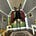 Tim West's avatar