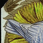 Lamenti
