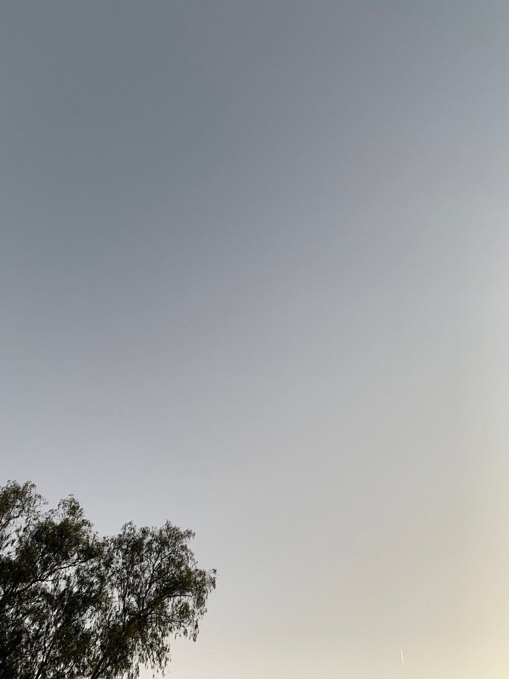 IMG_3430.jpg IMG_3430.jpg