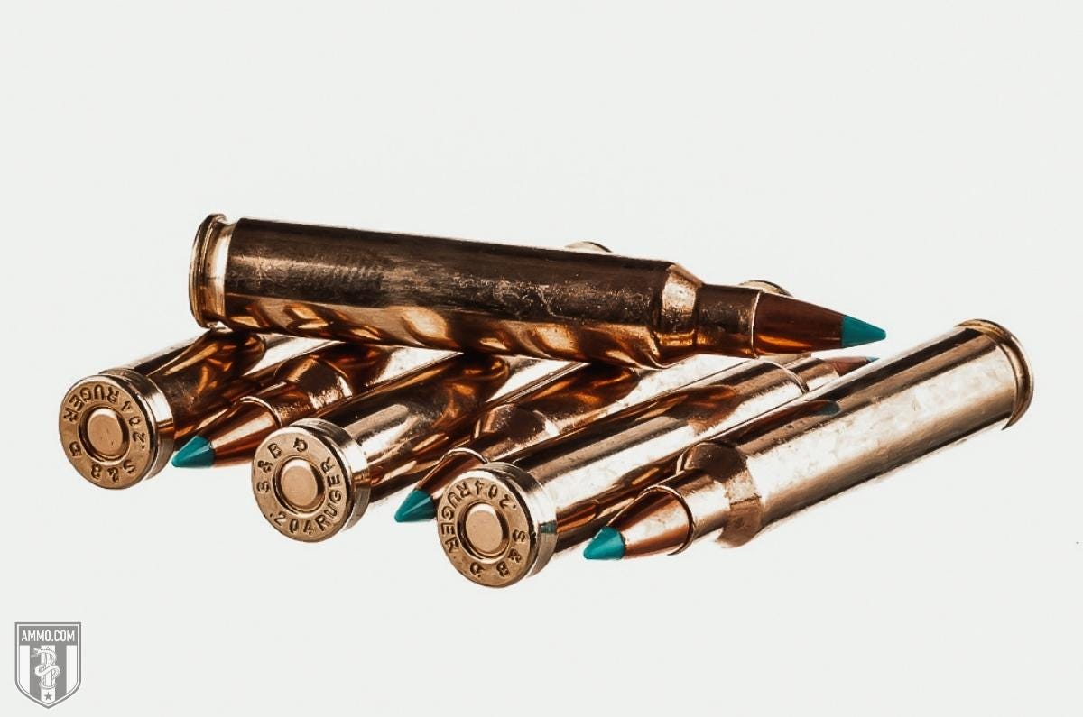 204 Ruger ammo for sale