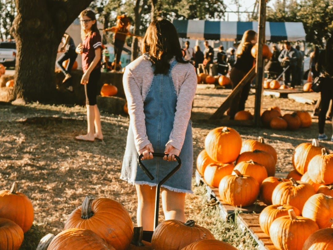 Produce Provider Reports Over 45% Growth Surge Amid Thanksgiving