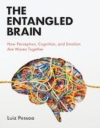 The Entangled Brain