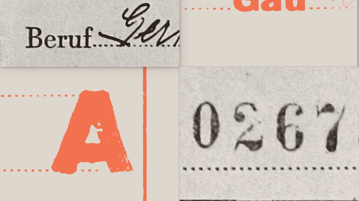 What Did Your Family Do Under Hitler? Find Out Now