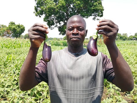 Some of the agriculture products of solar powered irrigation in Dowa and Balaka districts