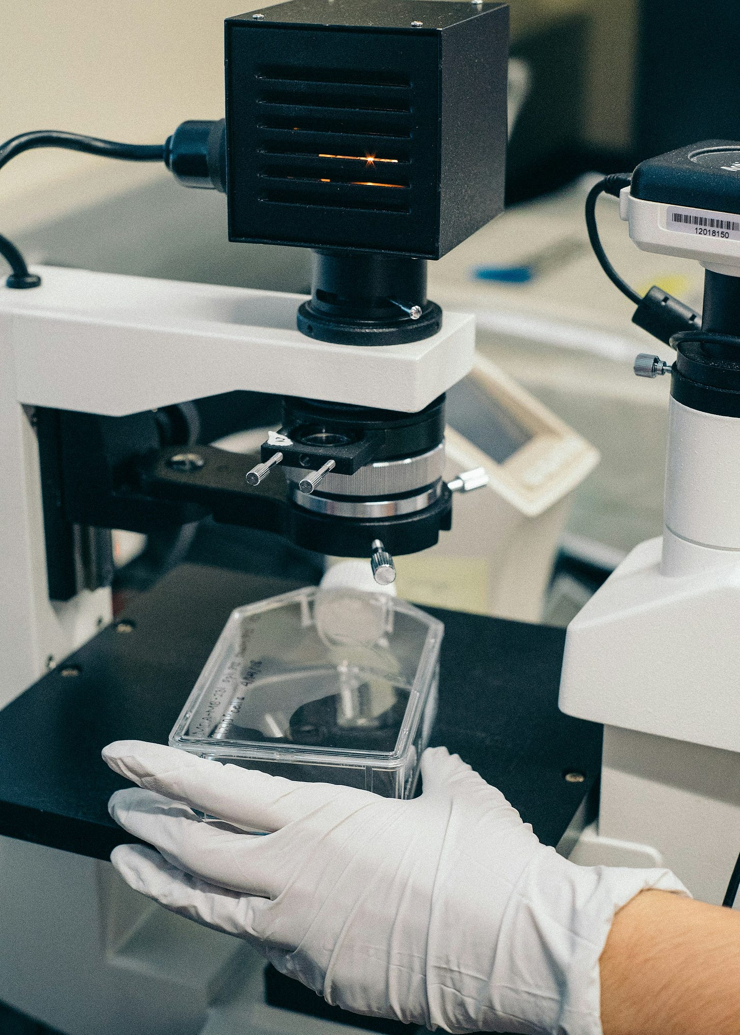A gloved hand preparing a stem cell culture for analysis.