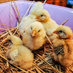 Don't Forget to Breathe