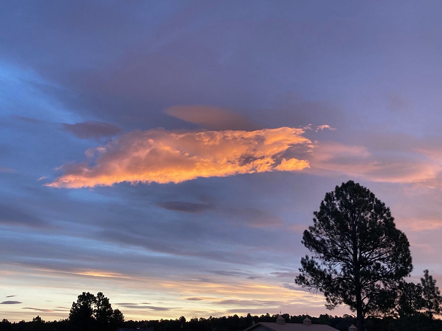 Dawn Clouds, 2026-03-14 Dawn Clouds, 2026-03-14