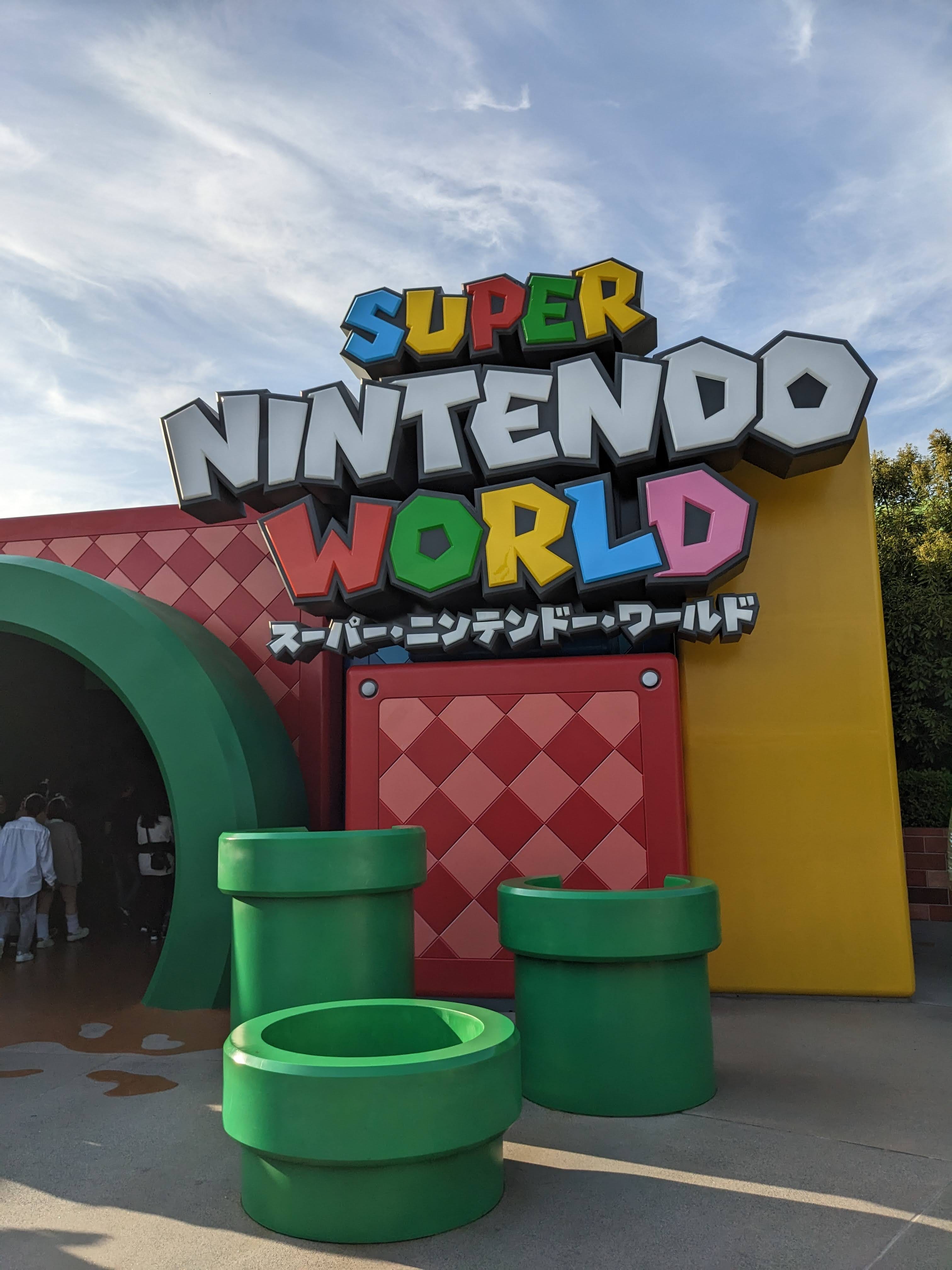 The Princess is in Another Castle - by Holly Wielkoszewski