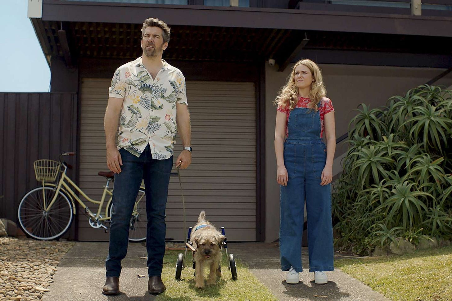 Patrick Brammall as Gordon and Harriet Dyer as Ashley in 'Colin From Accounts'