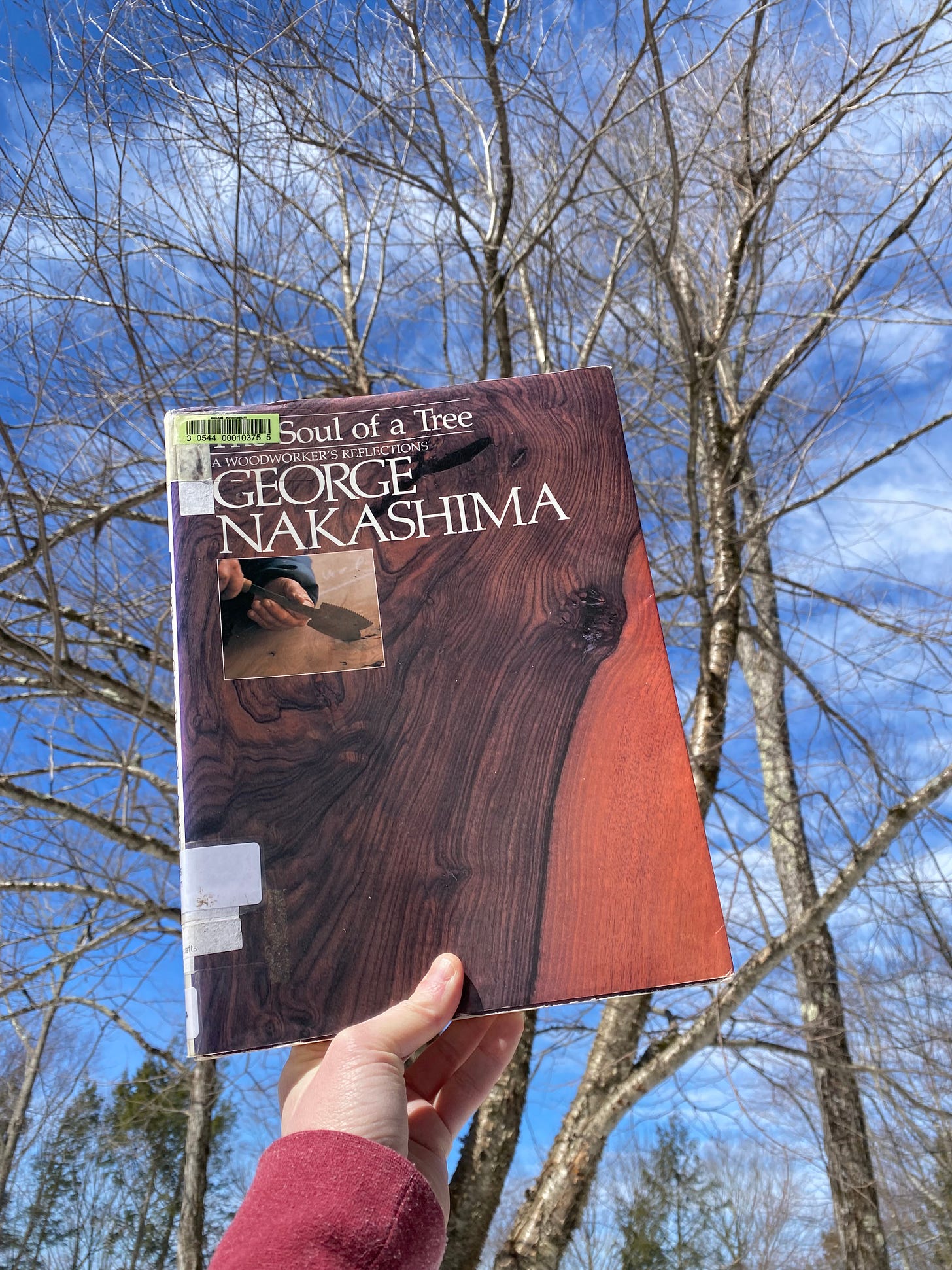 I’m holding up this book in front of some bare winter trees and a blue sky scattered with clouds.