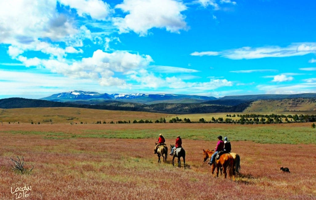 High Country Horses - a Photo Essay