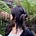janelle☆'s avatar