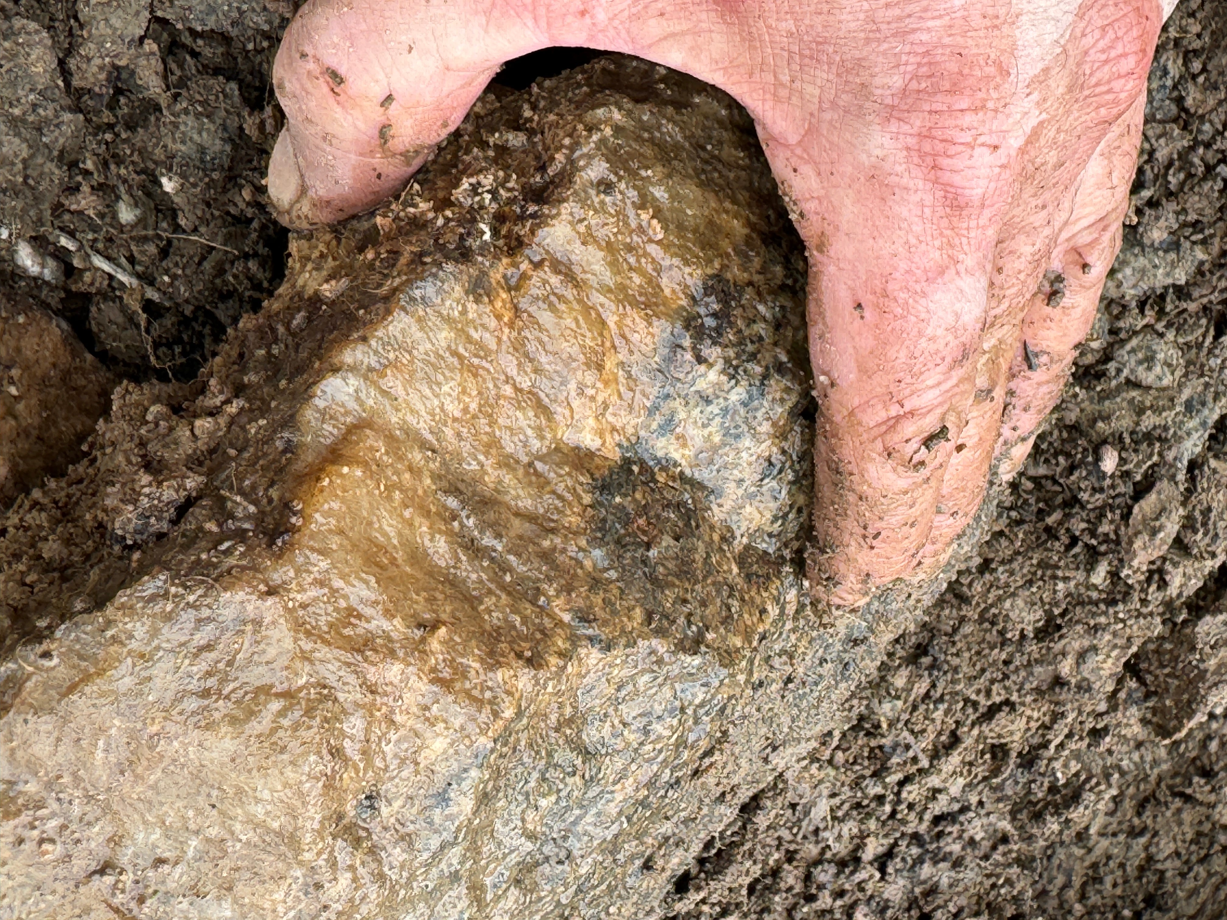 What the Ice Left Behind: Reading Tunk Valley's Geology from the Ground Up