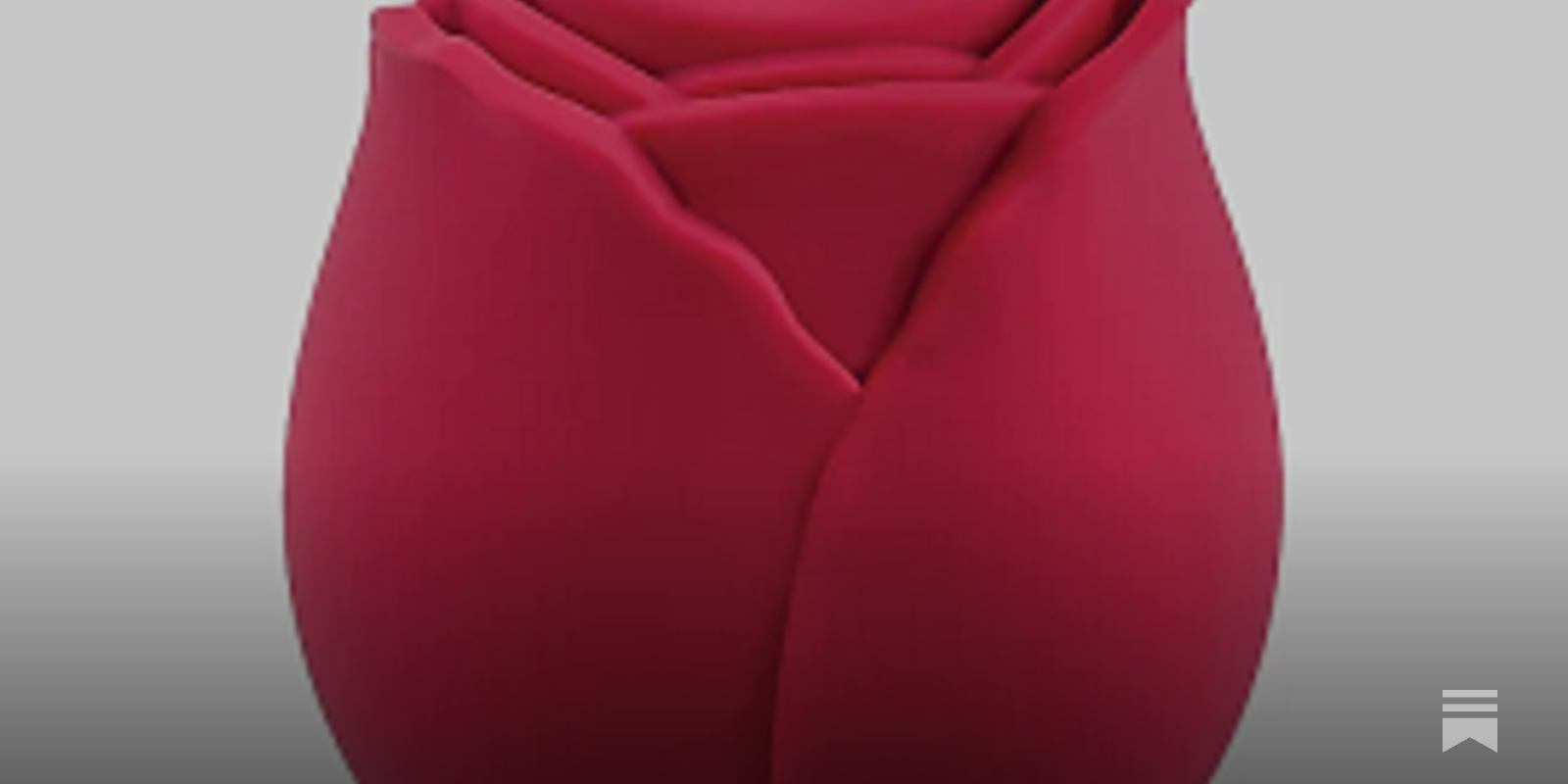 the temu rose toy (& other things you probably shouldn't let near ur vagina)