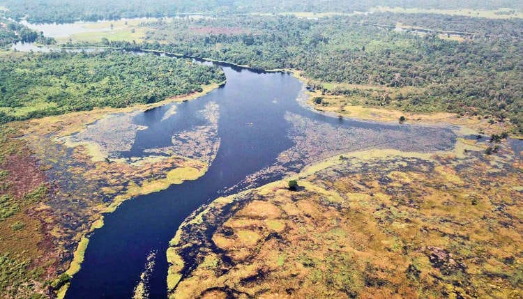 Cientistas descobrem o rio mais escuro do mundo.