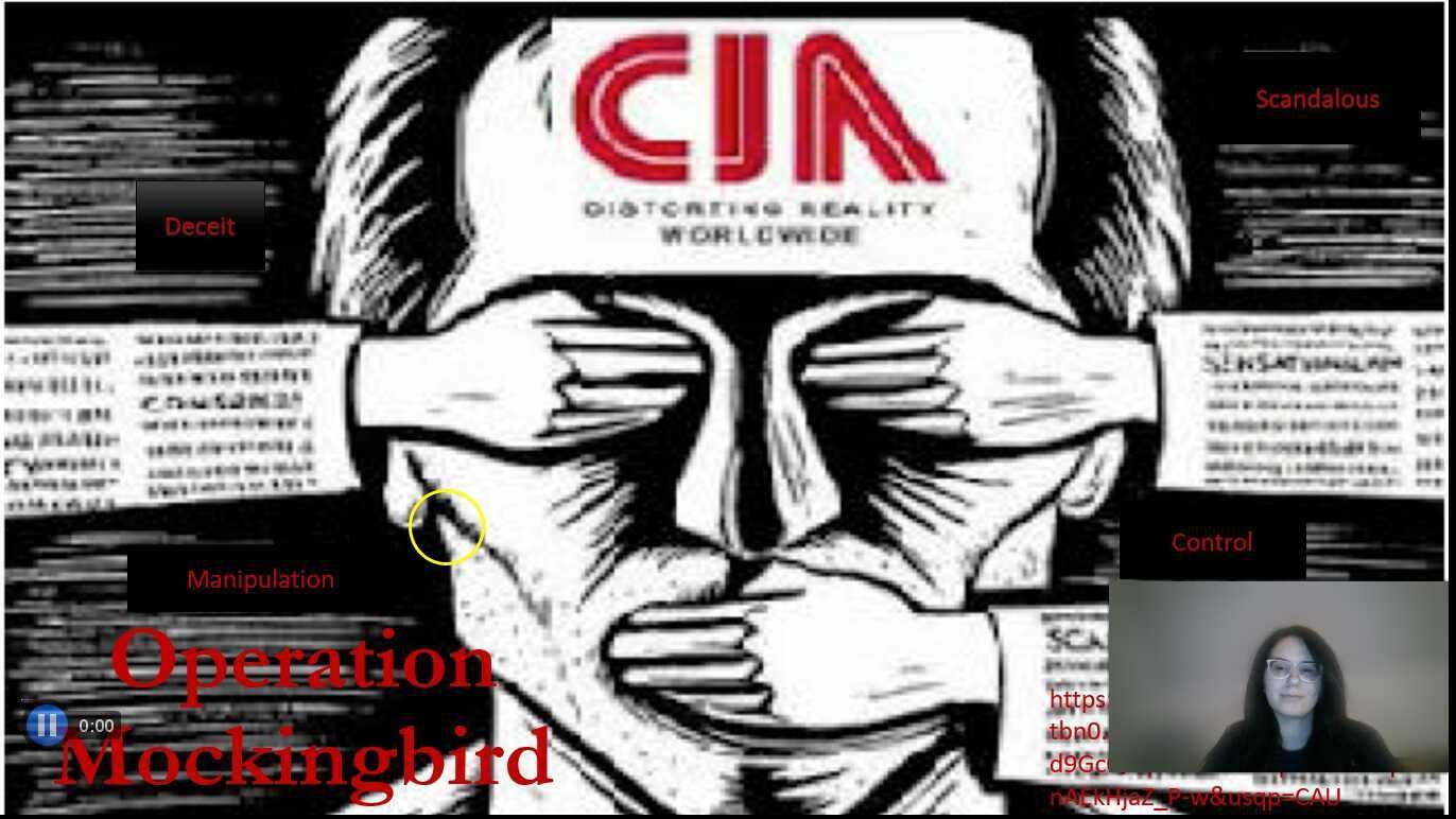 Operation Mockingbird