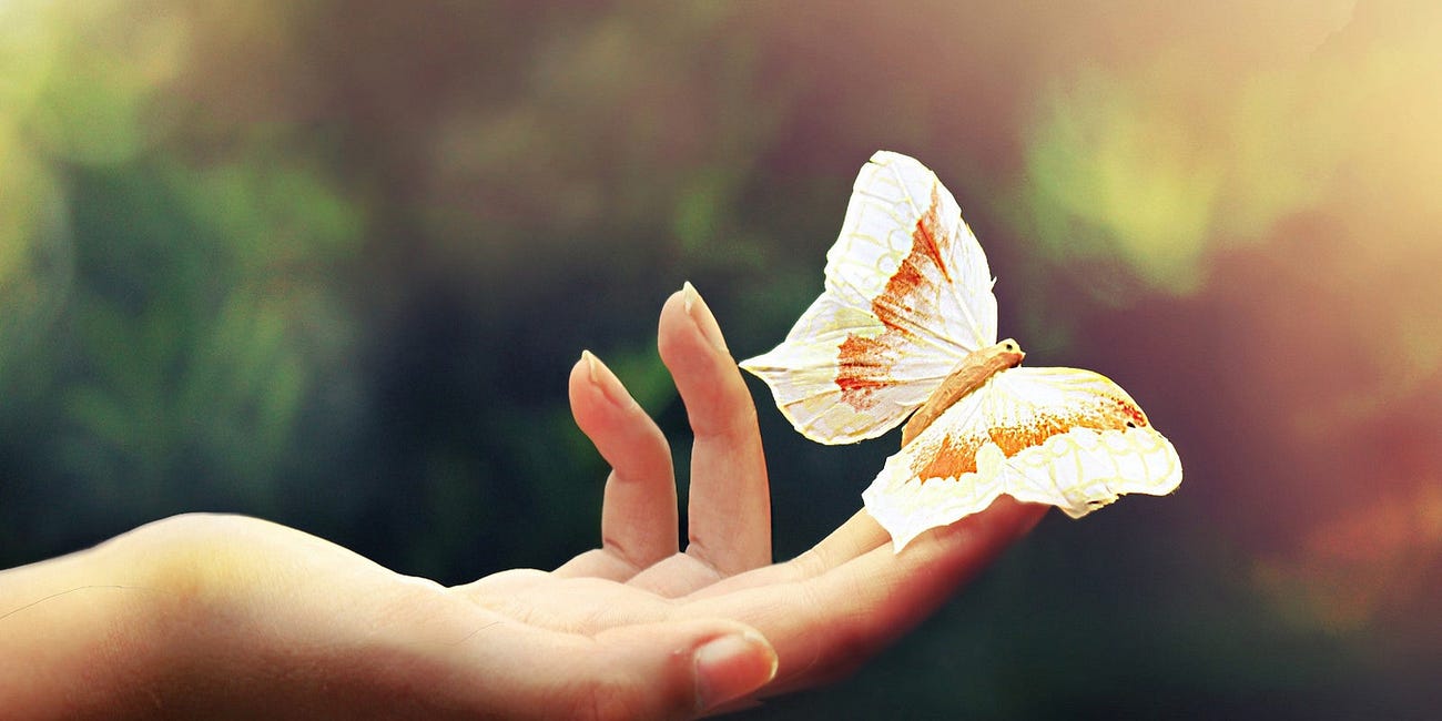 Evolution and Theological Anthropology in Laudato Si’