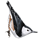 Nuthatch Notes