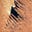 Avatar de Claudia0484
