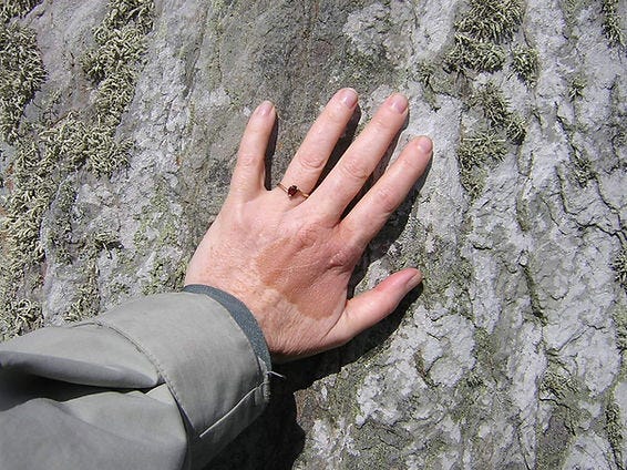 CBF-Bio Hand.JPG