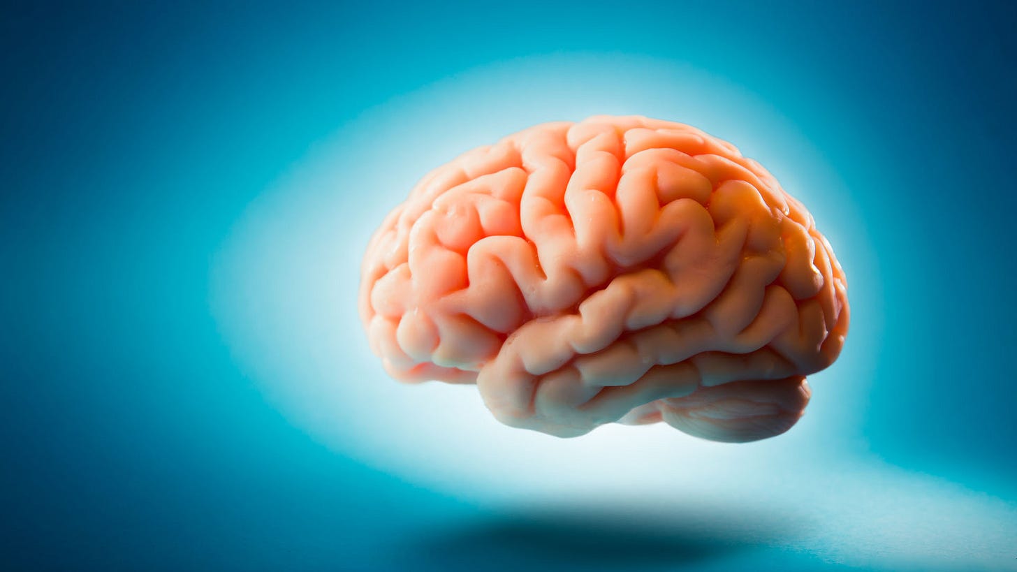 How Scarcity Changes Our Brains And Boosts Your Conversion Rates How Scarcity Changes Our Brains And Boosts Your Conversion Rates