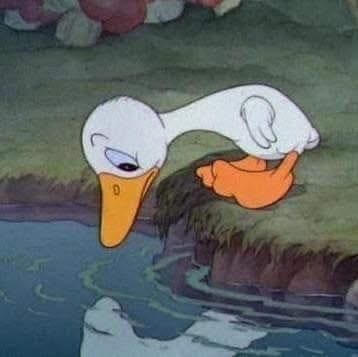 This may contain: a cartoon duck floating on top of a body of water