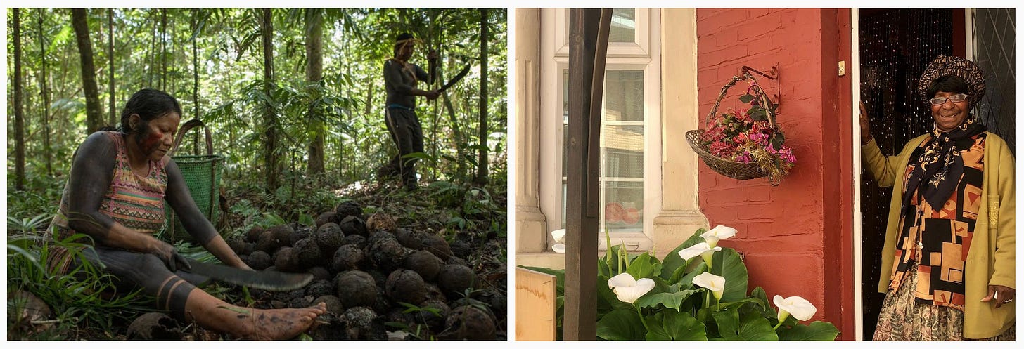 1. The Land Workers' Alliance, Roddick Foundation, Hodmedod and Kayapó-led cooperative COOBÂ-Y worked together to bring produce directly from the Kayapó people of Brazil to the UK for the first time; 2. Film still from ‘Feeding Lewisham: Foodbanks in Crisis’ (UK 2021, Dirs Cara Bowen, Tom Coleville, Dominic Soar 12 min) as part of the Barbican’s Eat The Screen festival. 1. The Land Workers' Alliance, Roddick Foundation, Hodmedod and Kayapó-led cooperative COOBÂ-Y worked together to bring produce directly from the Kayapó people of Brazil to the UK for the first time; 2. Film still from ‘Feeding Lewisham: Foodbanks in Crisis’ (UK 2021, Dirs Cara Bowen, Tom Coleville, Dominic Soar 12 min) as part of the Barbican’s Eat The Screen festival.