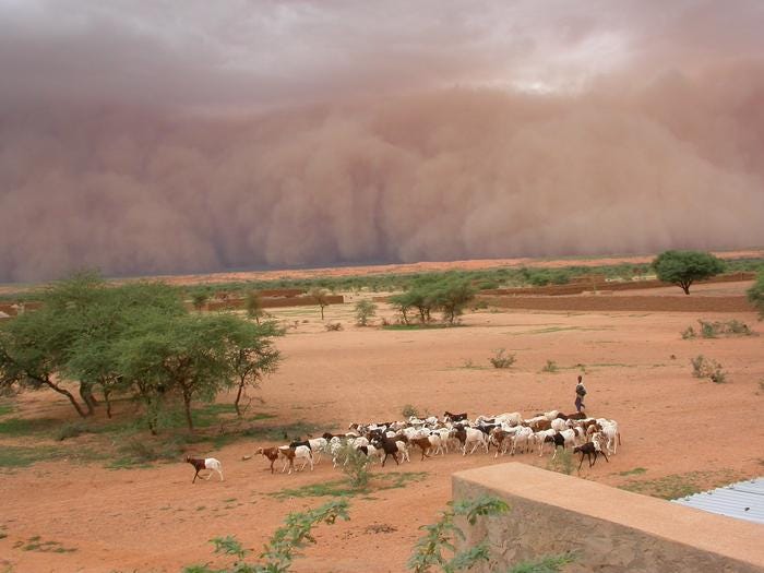Intense dust storms, such as this haboob in Mali, proceed torrential rain in the Sahel.