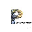 Perseverance