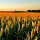 Environment and the Food System: Part 2