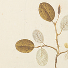 Towards a History of Everything (part II) 