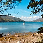 You Can Volunteer in Acadia!