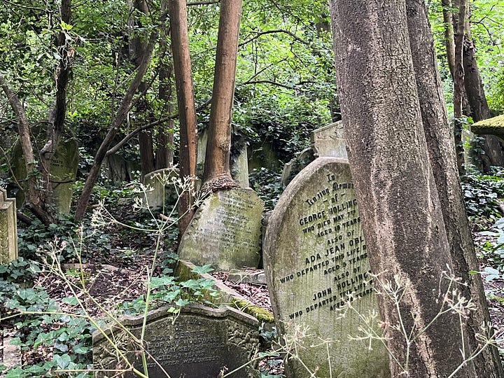 Gravestones upended by mass overgrowth