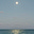 AntWoCo's avatar