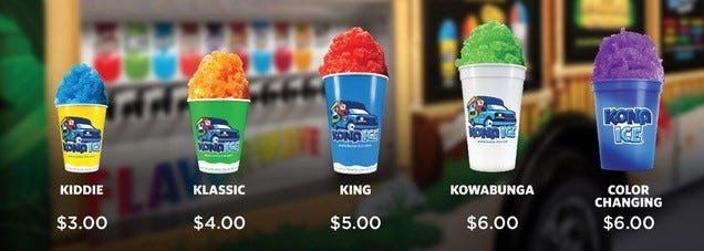 Savannah-Chatham e-Learning Academy KONA ICE