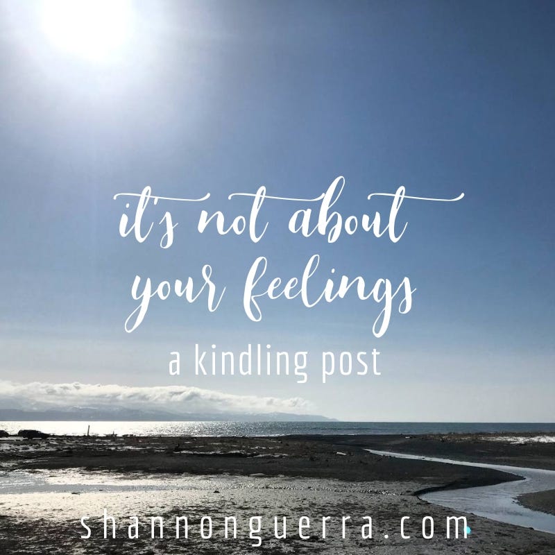 it's not about your feelings: a kindling post