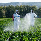 Trump Admin Authorizes Continued Use Of Cancer-Causing And Endocrine-Disrupting Pesticide Atrazine, A Chemical Banned In 60 Countries 